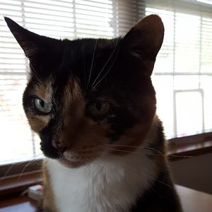 Meet your Posher, Jan